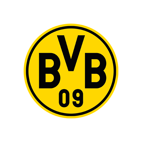 Logo BVB Evonik Fußballakademie