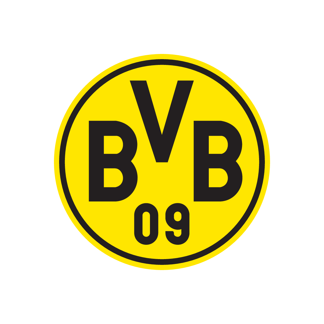 Logo BVB Evonik Football Academy