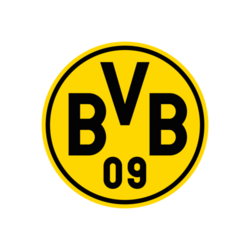 Logo BVB Evonik Fußballakademie